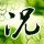 侦探物语